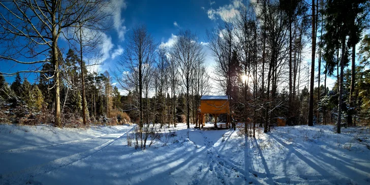 Unikátny domček na strome obklopený nádhernou prírodou vo Vysokých Tatrách aj s raňajkovým košíkom
