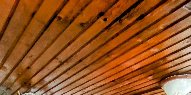 Krkonošská rozprávka: penzión s raňajkami alebo polpenziou, možnosť wellness