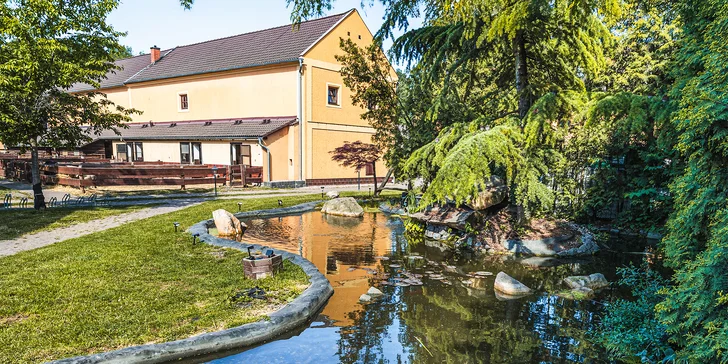 Pobyt na farme s koňmi, prasiatkami aj ovcami kúsok od Mosteckého jazera aj vrátane raňajok