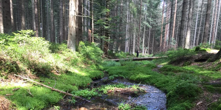 Útulný penzión v Jeseníkoch: apartmán až pre 6 osôb, výlety do Veľkých Losín, na Praděd aj k vodopádom