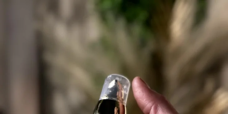 Darčekové poukážky v hodnote 50 a 100 eur na luxusné WELLNESS HAIR SPA