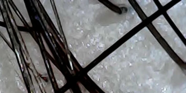 Darčekové poukážky v hodnote 50 a 100 eur na luxusné WELLNESS HAIR SPA