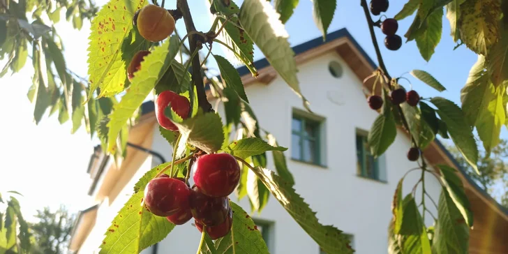 Útulné apartmány v chalupe v Žďárskych vrchoch s možnosťou sauny