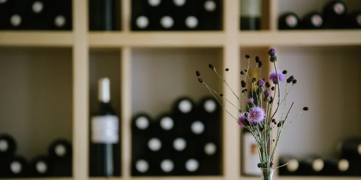 Moravský kras: nádherné ubytovanie v prírode s polpenziou aj vínom a privátnym wellness