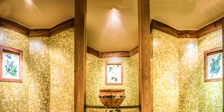 Wellness pobyt v zrubových apartmánoch aj vstup wellness komplexu Grand hotela PERMON****