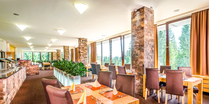 Wellness pobyt v zrubových apartmánoch aj vstup wellness komplexu Grand hotela PERMON****