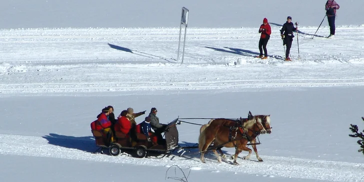 Dovolenka na Dachsteine: jedlo, bazén a sauna, zľavová karta, 2 deti zdarma a možnosť zakúpenia skipasu