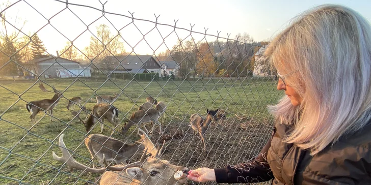 Pobyt pri obore s danielmi v Lužických horách: tiny house aj s raňajkami pre 2 osoby