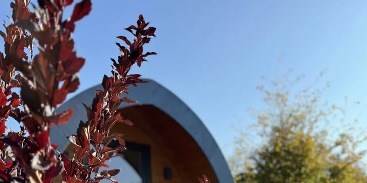 Pobyt pri obore s danielmi v Lužických horách: tiny house aj s raňajkami pre 2 osoby