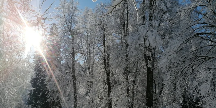 Oddych v slovinskom kúpeľnom meste Dobrna: polpenzia a wellness