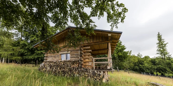 Zážitkové ubytovanie v prírode: zrub až pre 5 s pozorovaním zveri