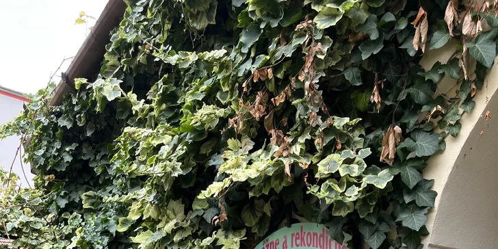 Masáže od slabozrakého maséra: klasická, športová, karpálny tunel aj podľa výberu