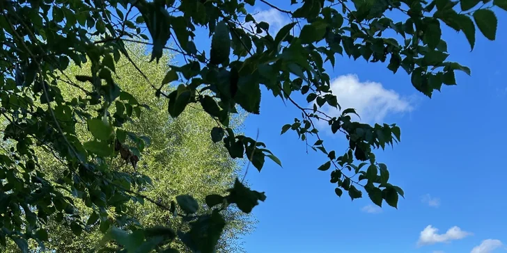 Útulné apartmány na brehu Slapskej priehrady: možnosť wellness, požičanie kanoe a plavby člnom s kapitánom