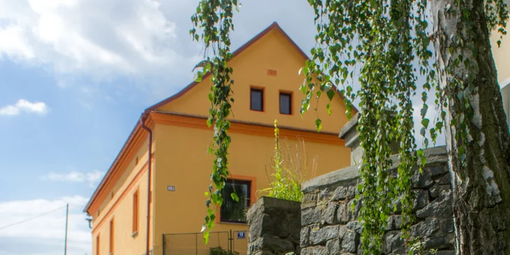 Útulné apartmány na brehu Slapskej priehrady: možnosť wellness, požičanie kanoe a plavby člnom s kapitánom