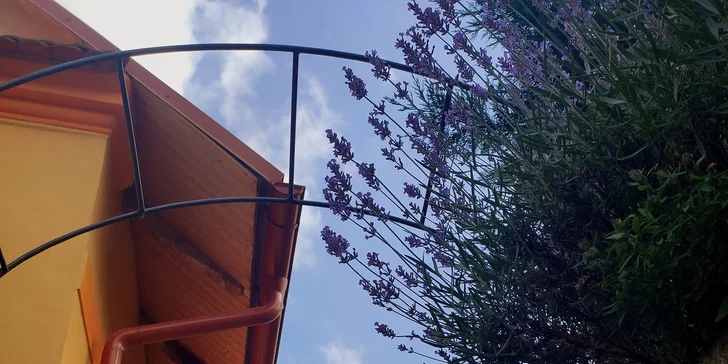 Útulné apartmány na brehu Slapskej priehrady: možnosť wellness, požičanie kanoe a plavby člnom s kapitánom