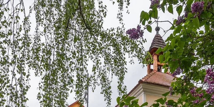 Útulné apartmány na brehu Slapskej priehrady: možnosť wellness, požičanie kanoe a plavby člnom s kapitánom