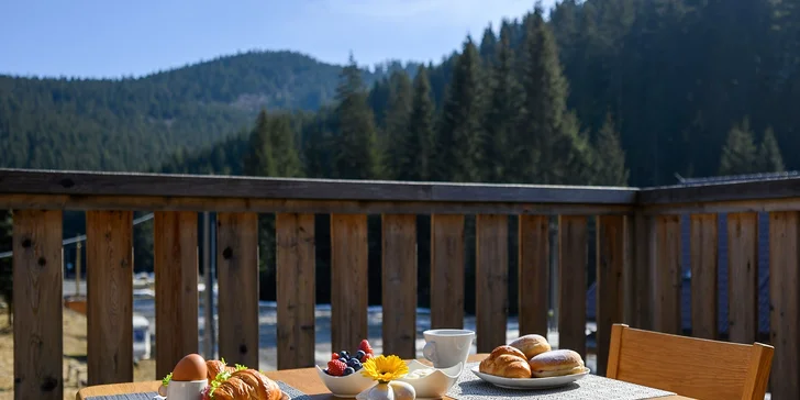 Luxusný apartmán v Beskydách na Bielej: až pre 4 osoby, vrátane fínskej sauny