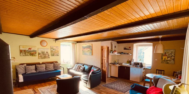 Útulné apartmány na brehu Slapskej priehrady: možnosť wellness, požičanie kanoe a plavby člnom s kapitánom