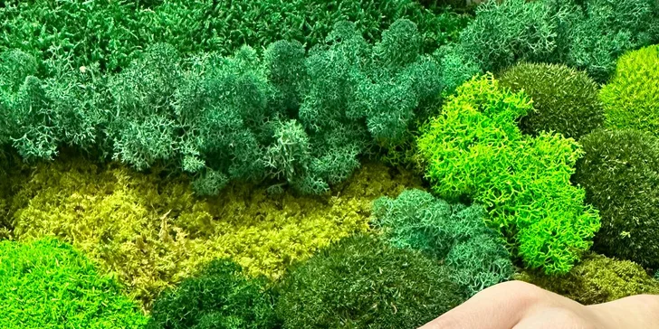 Manikúra, gél lak, IBX systém alebo gélové nechty