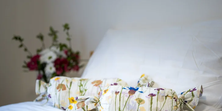 Vrbno pod Pradědem: luxusný apartmánový dom pre 10 osôb, 7 km od Karlovej Studánky