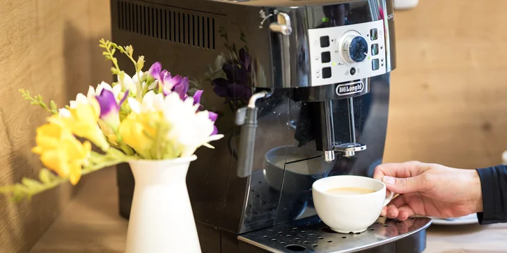 Vrbno pod Pradědem: luxusný apartmánový dom pre 10 osôb, 7 km od Karlovej Studánky