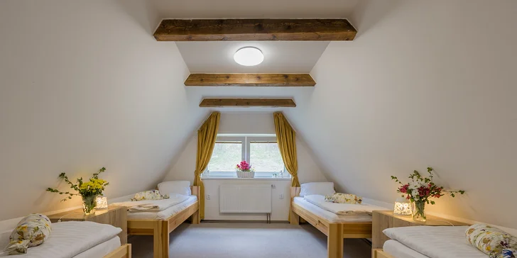 Vrbno pod Pradědem: luxusný apartmánový dom pre 10 osôb, 7 km od Karlovej Studánky