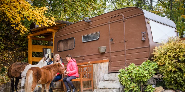 Pobyt medzi zvieratkami na ranči: karavan, chatka alebo maringotka, mini zoo, kone a možnosť raňajok