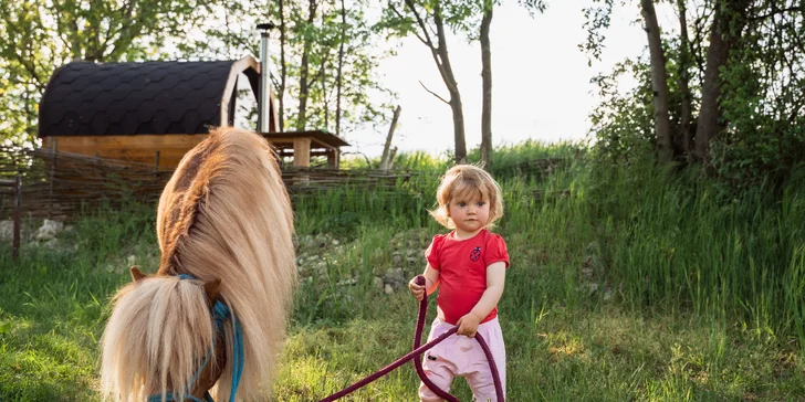 Pobyt medzi zvieratkami na ranči: karavan, chatka alebo maringotka, mini zoo, kone a možnosť raňajok