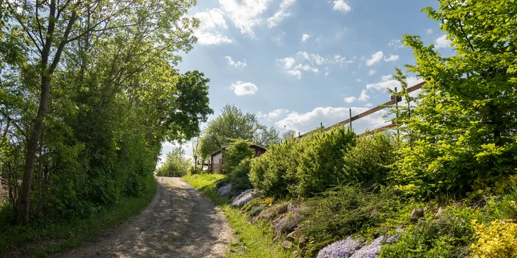 Pobyt medzi zvieratkami na ranči: karavan, chatka alebo maringotka, mini zoo, kone a možnosť raňajok