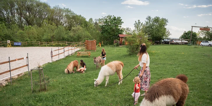 Pobyt medzi zvieratkami na ranči: karavan, chatka alebo maringotka, mini zoo, kone a možnosť raňajok