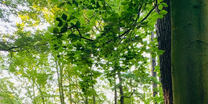 Relax alebo dámska jazda v Brdoch: polpenzia, wellness aj športové vyžitie