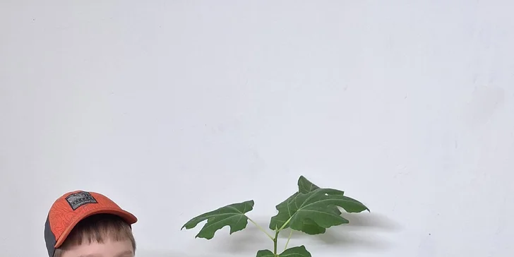 Kreatívne maľovanie pre každého: 3-hodinový kurz pre deti aj dospelých