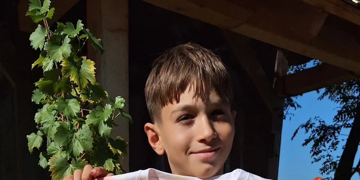 Kreatívne maľovanie pre každého: 3-hodinový kurz pre deti aj dospelých