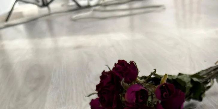 Kreatívne maľovanie pre každého: 3-hodinový kurz pre deti aj dospelých