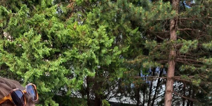 Kreatívne maľovanie pre každého: 3-hodinový kurz pre deti aj dospelých