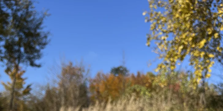 Moravský kras: nádherné ubytovanie v prírode s polpenziou aj vínom a privátnym wellness