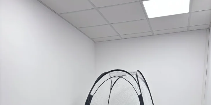 Cukrový nástrek: krásne a bezpečné opálenie bez UV žiarenia