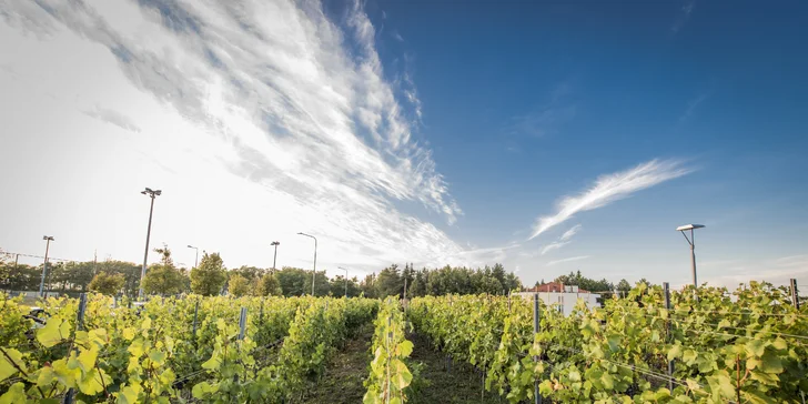 Pobyt pri jazere na okraji Poznane: moderné izby, raňajky aj parkovanie zadarmo