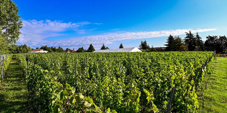 Pobyt pri jazere na okraji Poznane: moderné izby, raňajky aj parkovanie zadarmo