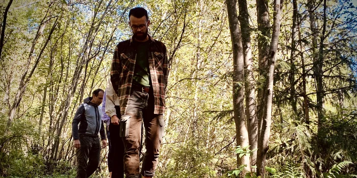 Blahodarný lesný kúpeľ v nádhernom prostredí Tatier: nájdite opäť vnútornú rovnováhu