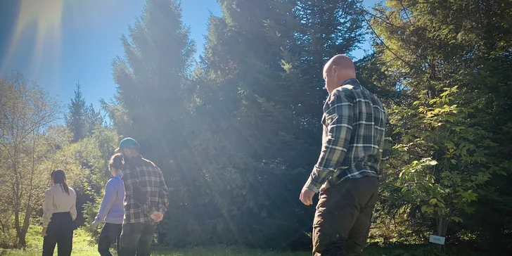 Blahodarný lesný kúpeľ v nádhernom prostredí Tatier: nájdite opäť vnútornú rovnováhu