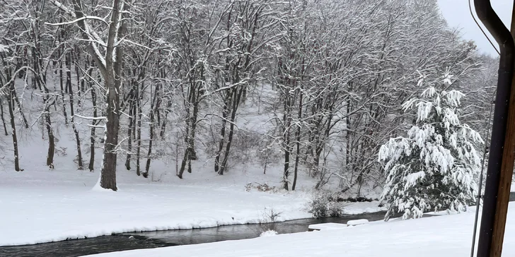 Wellness apartmán na hranici národného parku Brdy s vonkajšou vírivkou aj infrasaunou