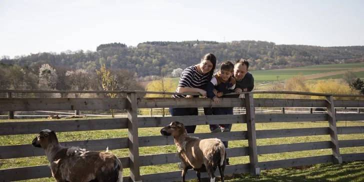 Rodinná dovolenka v Rakúsku: hotel s polpenziou a wellness, malá zoo aj vonkajšie bazény