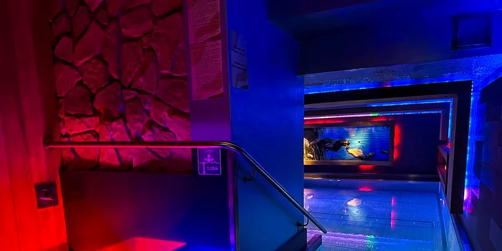 Romantika pre dvoch v Žiline so sektom, polpenziou a neobmedzeným vstupom do wellness