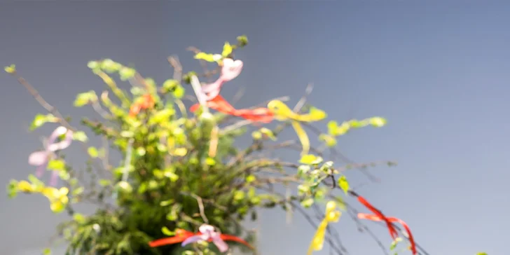 Vrbno pod Pradědem: luxusný apartmánový dom pre 10 osôb, 7 km od Karlovej Studánky