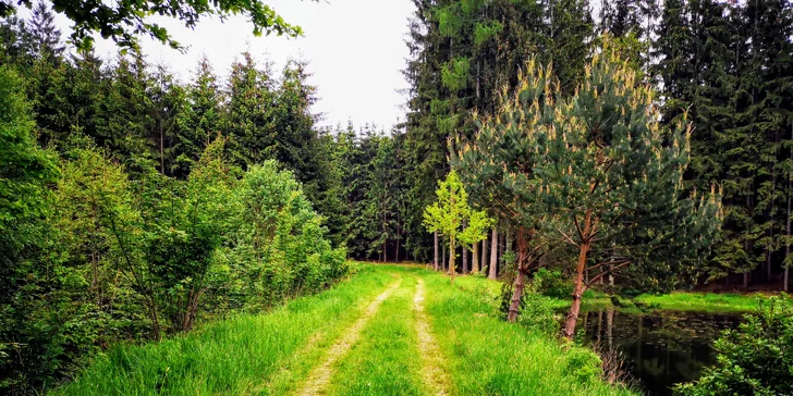 Luxusná chata v kempe na Vysočine: vonkajšia vírivka a výlety po kraji lesov a rybníkov