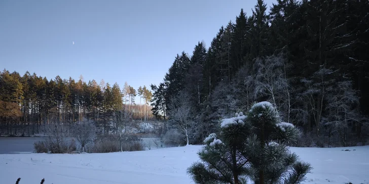 Luxusná chata v kempe na Vysočine: vonkajšia vírivka a výlety po kraji lesov a rybníkov