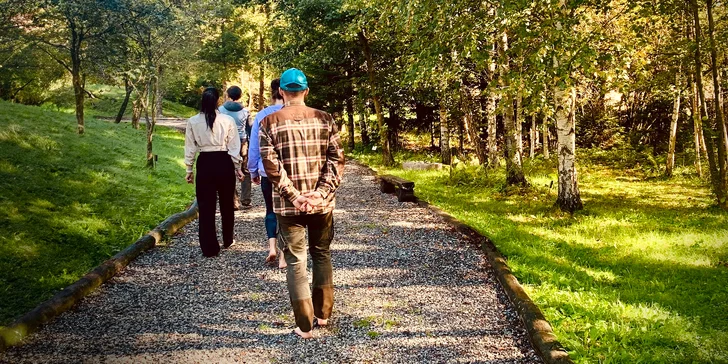 Blahodarný lesný kúpeľ v nádhernom prostredí Tatier: nájdite opäť vnútornú rovnováhu