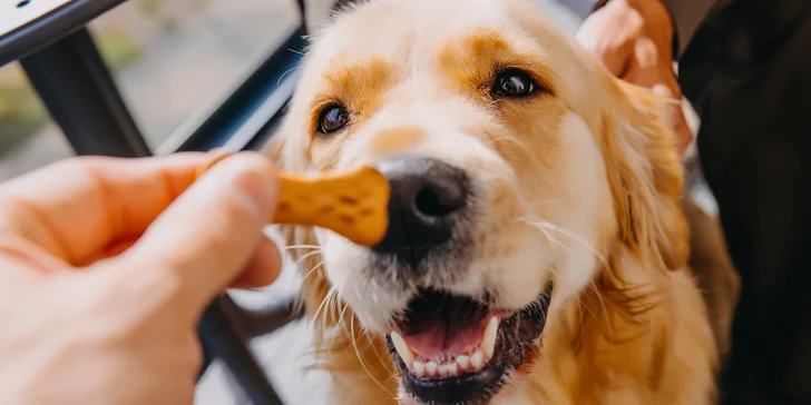 Poľské Krkonoše: strava, vstup do bazéna, možnosť sauny na izbe, akcia 2 deti zdarma
