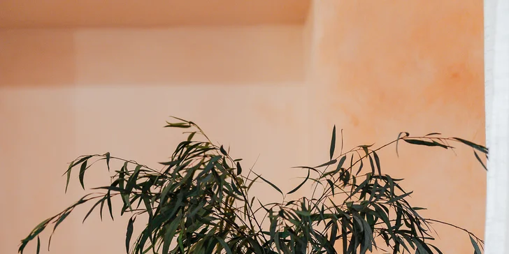 Head Spa rituály pre jednotlivcov i páry: Harmony, Rose, Alma Harmony alebo Alma Harmony rande